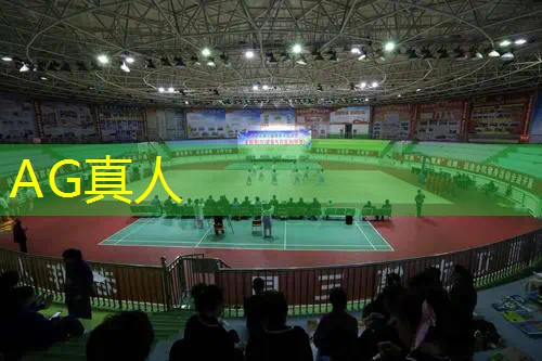 AG真人：3d游戏里有学校的游戏