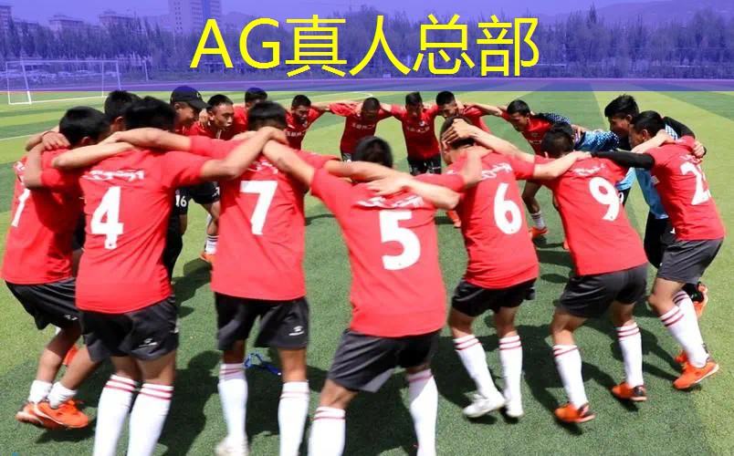AG真人国际官网：融合动物3d小游戏大全