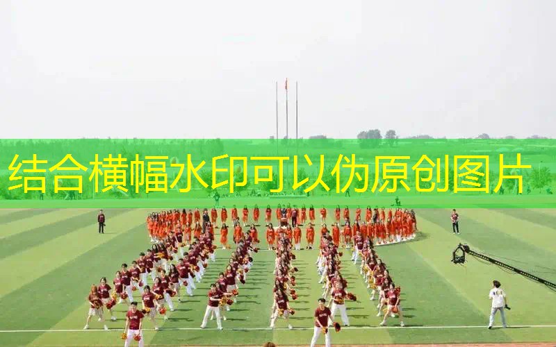 AG真人公司：小程序游戏帮小妹