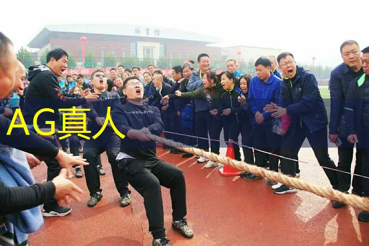 AG真人国际官网：爬塔小游戏入口小程序免费