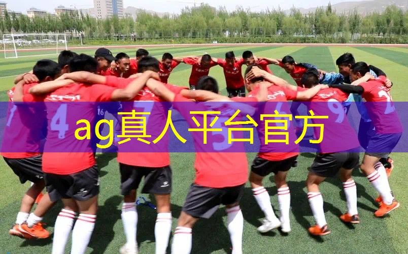 Ag平台官方网站：手机绘制游戏原画软件有哪些