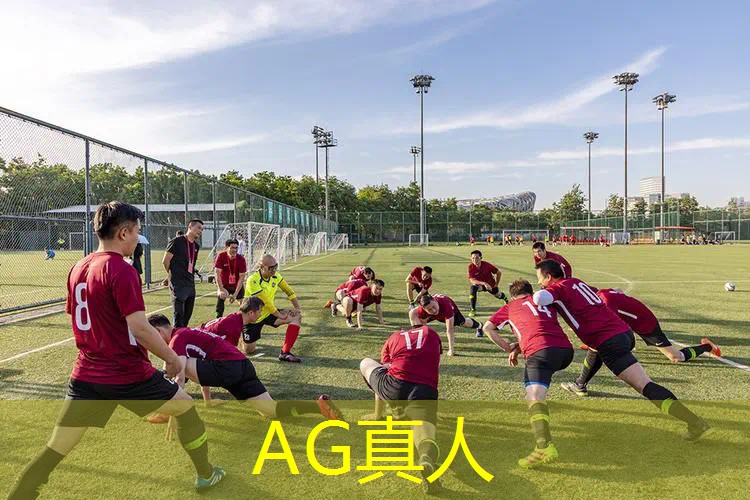 ag真人平台官方：3d无人机战争游戏推荐