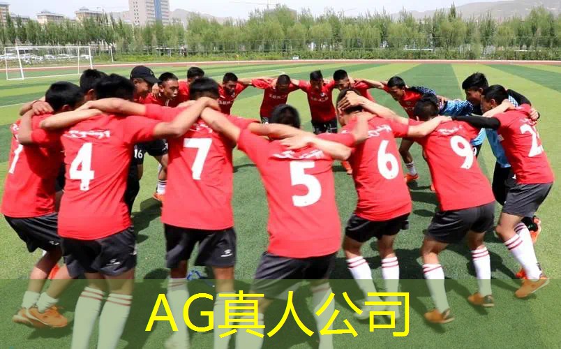 AG真人公司：游戏原画设计学日语怎么说