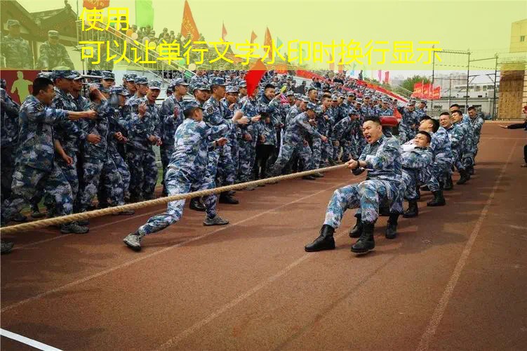3d游戏双男主自由操作