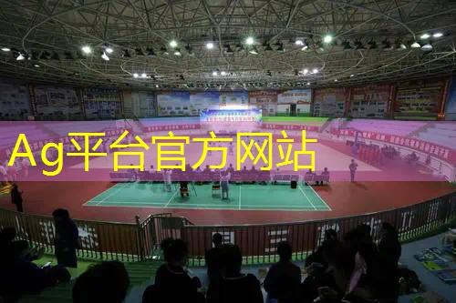 Ag平台官方网站：小程序游戏过去未来