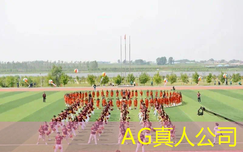 Ag平台官方网站：黑白色硬核格斗游戏3d