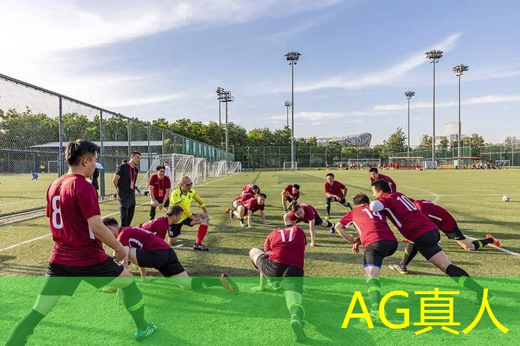 Ag平台官方网站：aov传说对决游戏原画