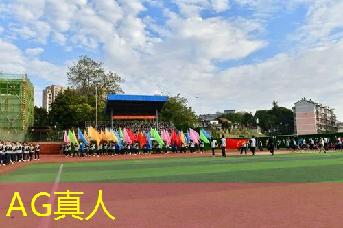 AG真人总部：开放式游戏3d鼻祖有哪些