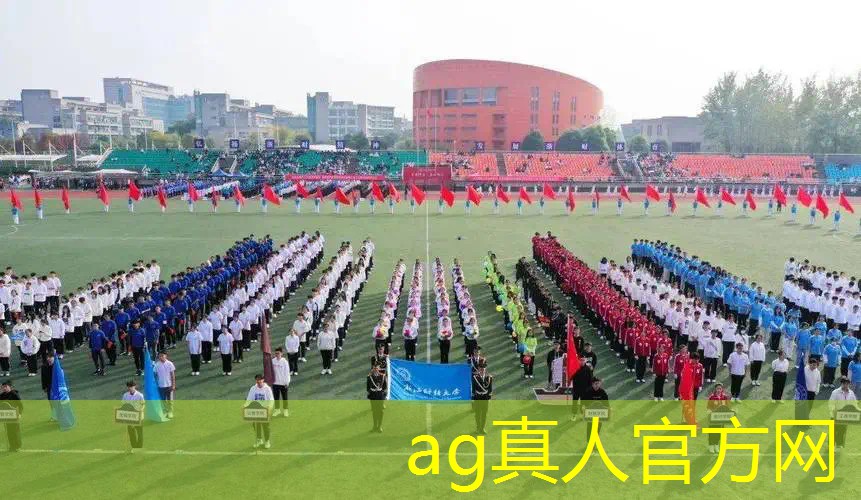 AG真人国际官网：3d丢炸弹块的游戏