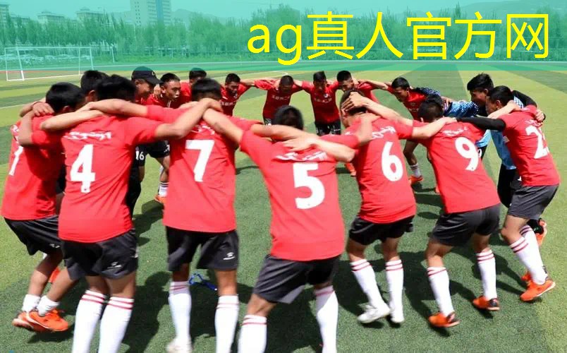 ag真人平台官方：有什么酷炫的程序游戏推荐