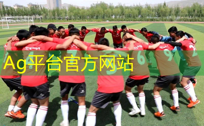 Ag平台官方网站：加菲猫3d版游戏