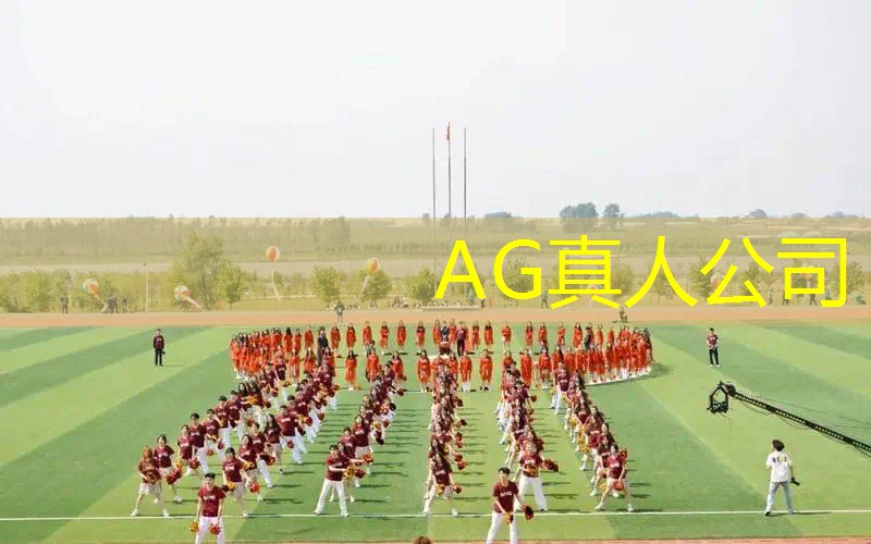 AG真人公司：大型3d电脑单机游戏有哪些