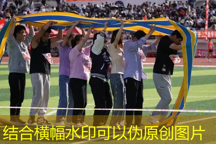 Ag平台官方网站：双人游戏不要3d