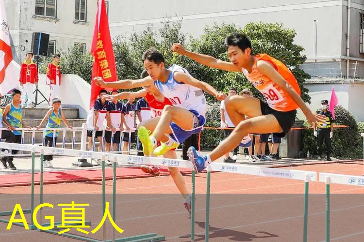 AG真人公司：3d模拟驾驶游戏最新版本