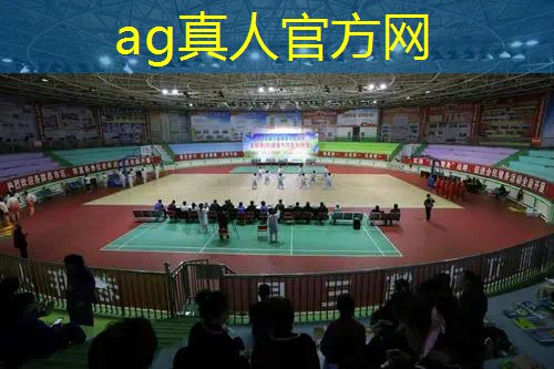 AG真人国际官网：外国3d游戏单人游戏有哪些