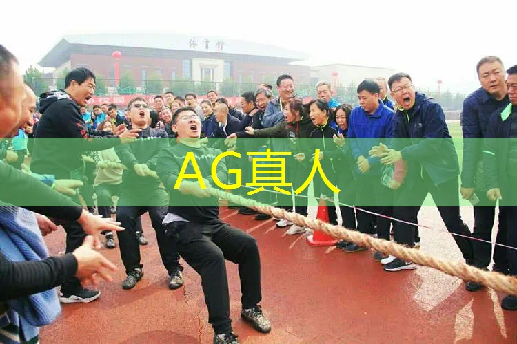 AG真人公司：全网3d捏脸游戏推荐女生