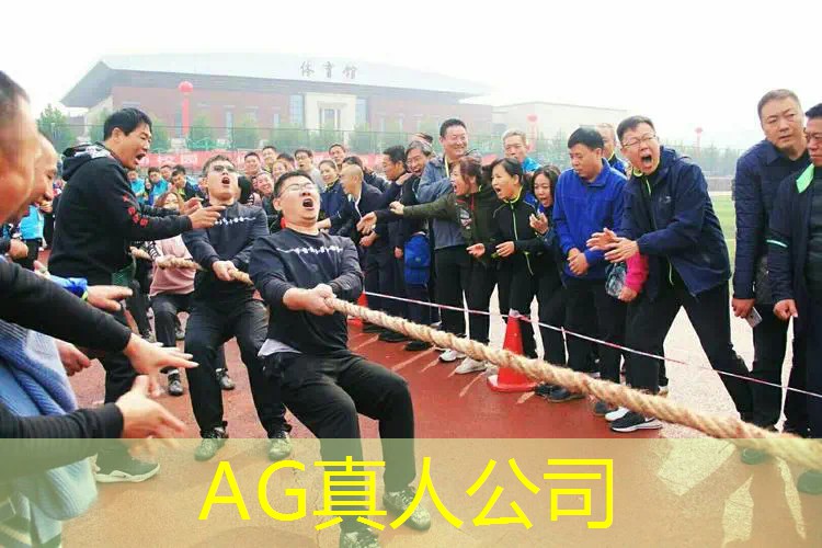 不晕3d的多人游戏
