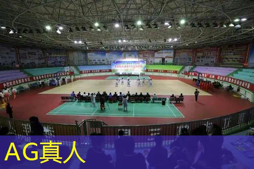 AG真人公司：小程序拆括号游戏入口