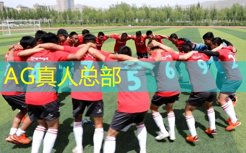 AG真人：最古老的3d格斗游戏