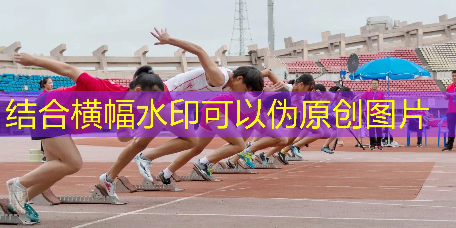 ag真人官方网：解密3d游戏主角是鸟