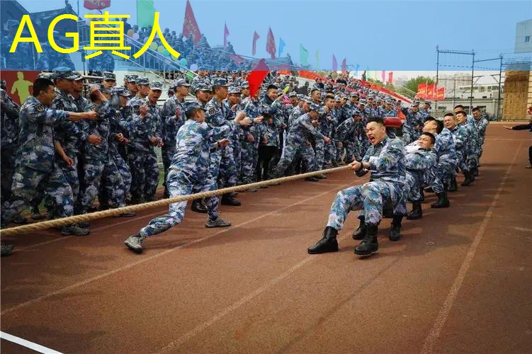 Ag平台官方网站：原神3d是什么画风的游戏