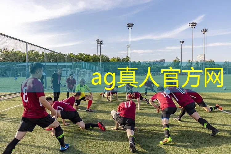 AG真人公司：动感3d手机游戏推荐