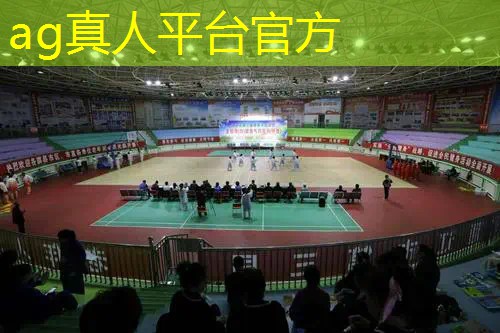AG真人国际官网：中国电子青年电竞大赛可以组队参赛吗？