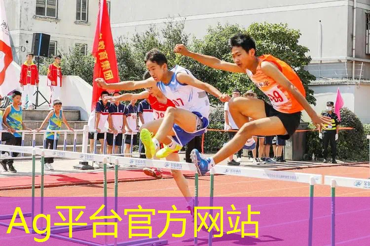 Ag平台官方网站：3D牛摩王游戏安装包