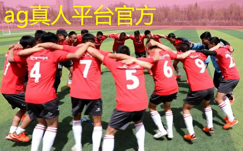 AG真人国际官网：游戏原画师书