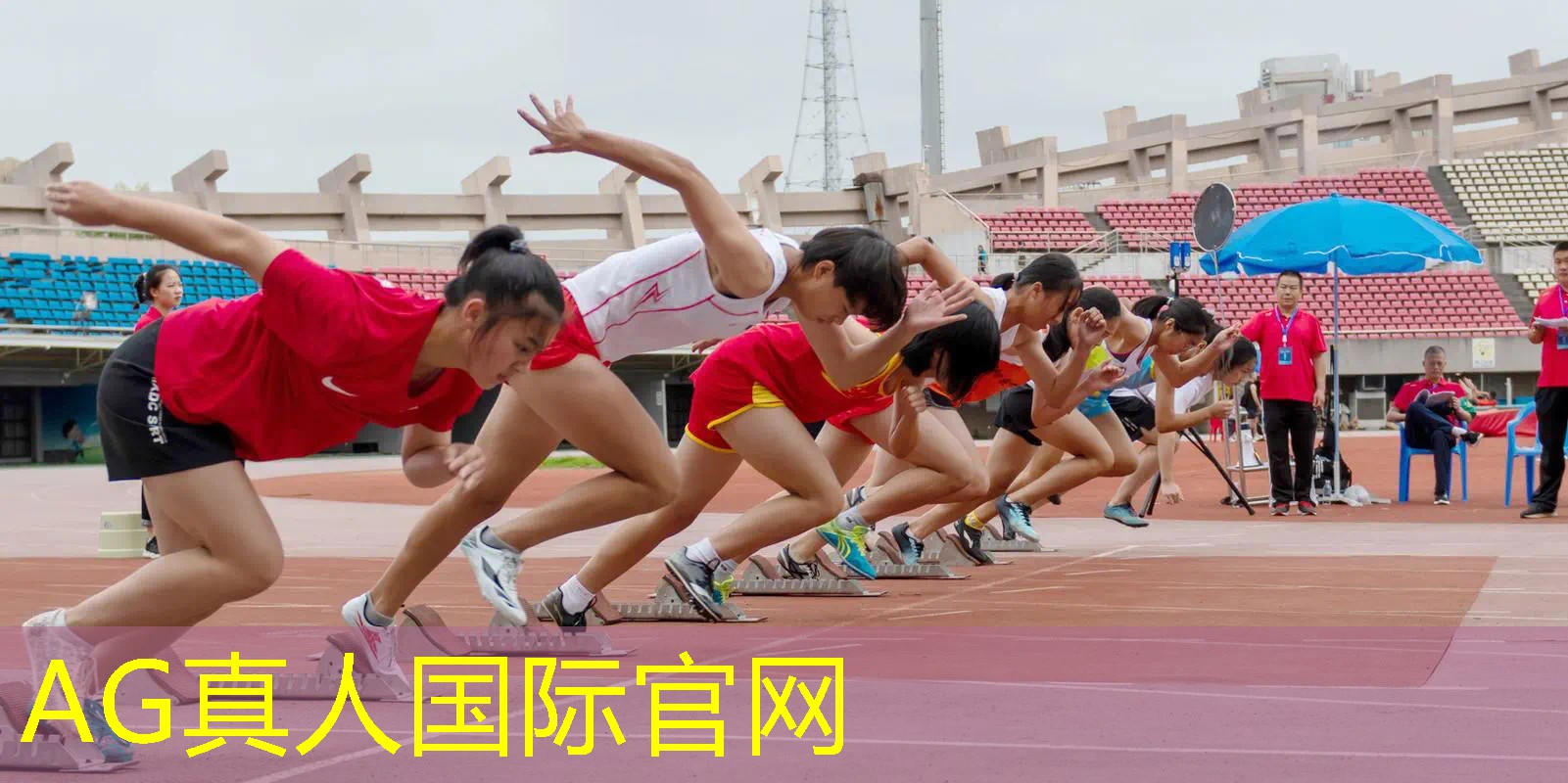 3d的怪物猎人游戏叫什么