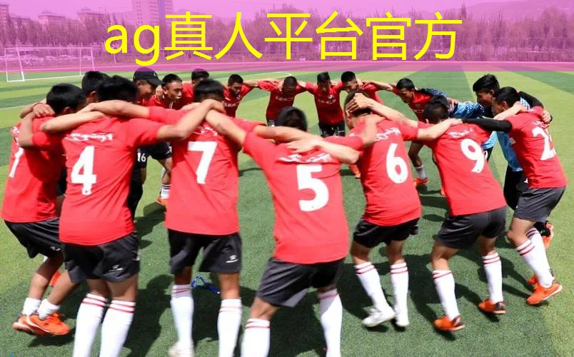 ag真人官方网：恋爱成双游戏原画