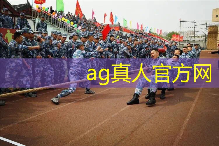 AG真人总部：单机3d游戏时间回溯