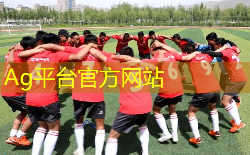 拳王3d打架游戏大全