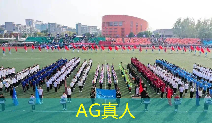 AG真人公司：工地游戏小程序入口