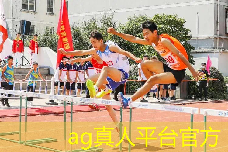 ag真人官方网：宝可梦黑白3d游戏