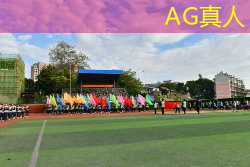 Ag平台官方网站：英雄世界工艺3d游戏攻略