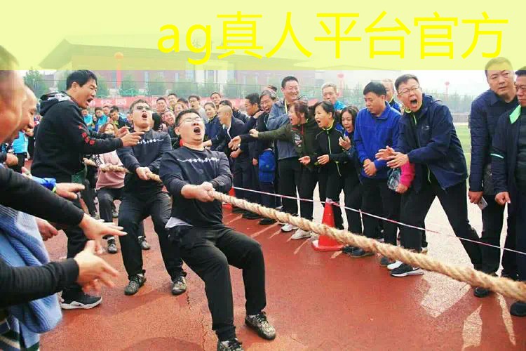 AG真人：高颜值原画游戏推荐手游