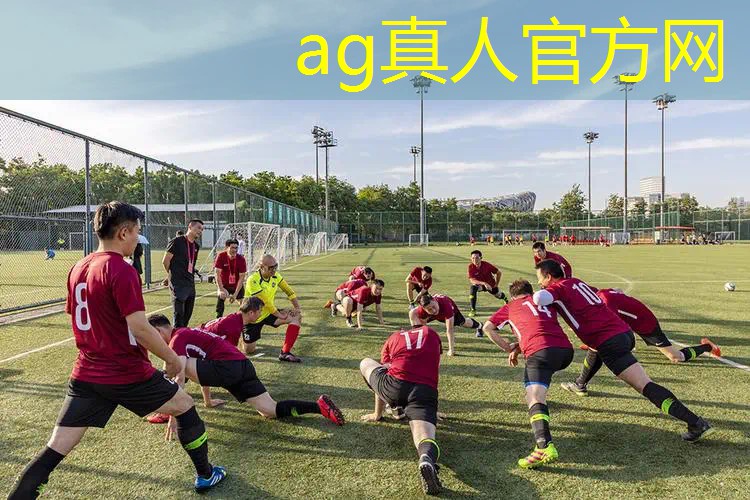AG真人公司：休闲战斗的3d单机游戏