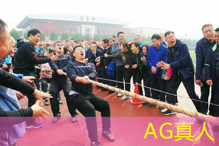 懒羊羊游戏程序怎么玩的