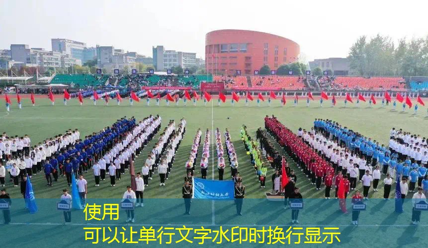 ag真人平台官方：解密3d游戏主角是鸟