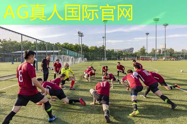 AG真人：3d塔防游戏火柴人