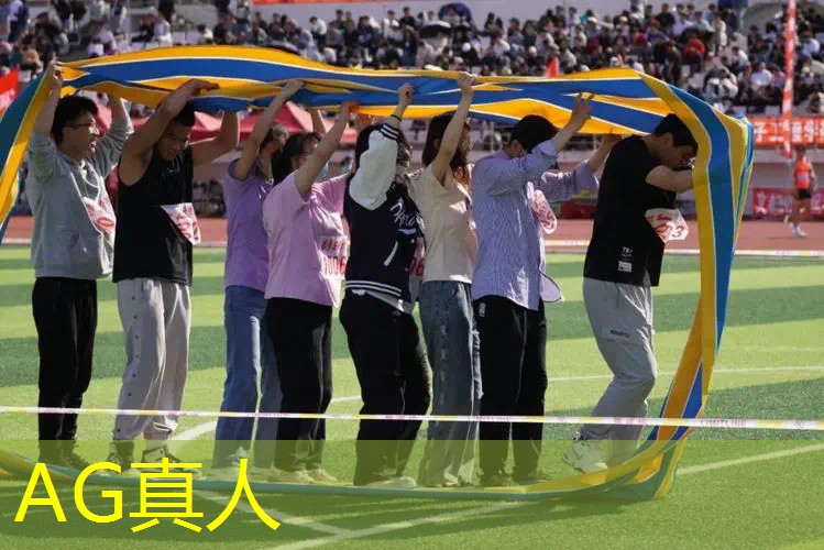 AG真人：动漫游戏策划简历