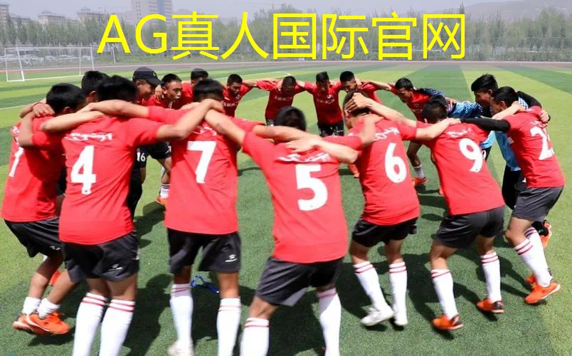ag真人平台官方：躲猫猫3d版的游戏是什么