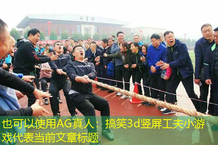 AG真人：搞笑3d竖屏工夫小游戏