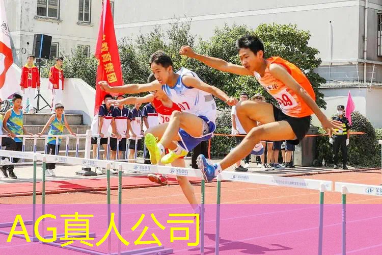 AG真人总部：拳皇3d单机游戏大全