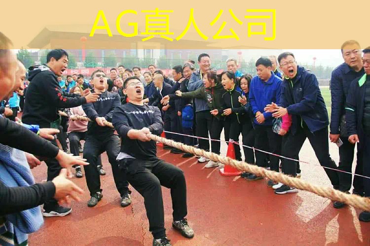 ag真人平台官方：欧洲杯3d足球手机游戏推荐