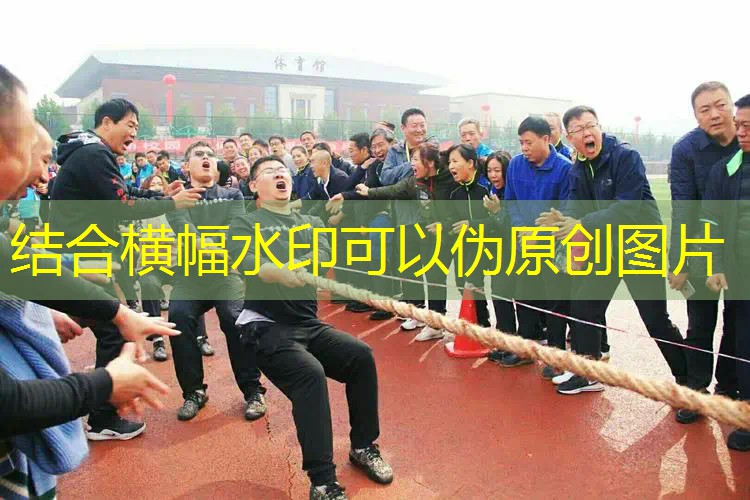 3d幻影大师游戏攻略大全