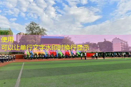 3d模拟鸽子游戏大全最新