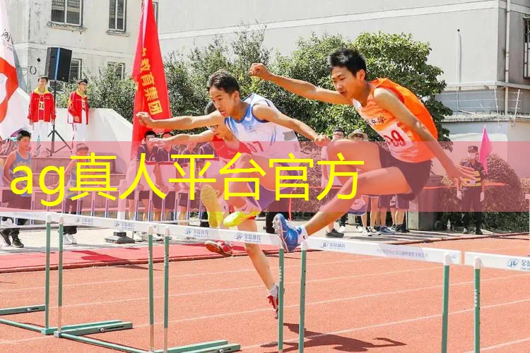 AG真人：手游3d动漫画风老游戏