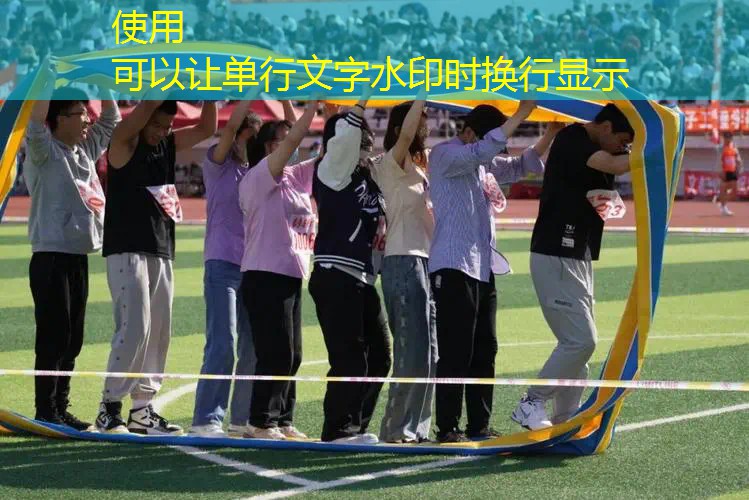 3d游戏龙剑士头像
